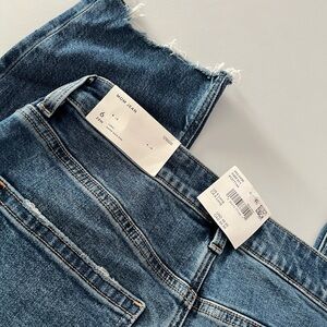 American Eagle Outfitters STRIGID Mom Jean size 28/6L